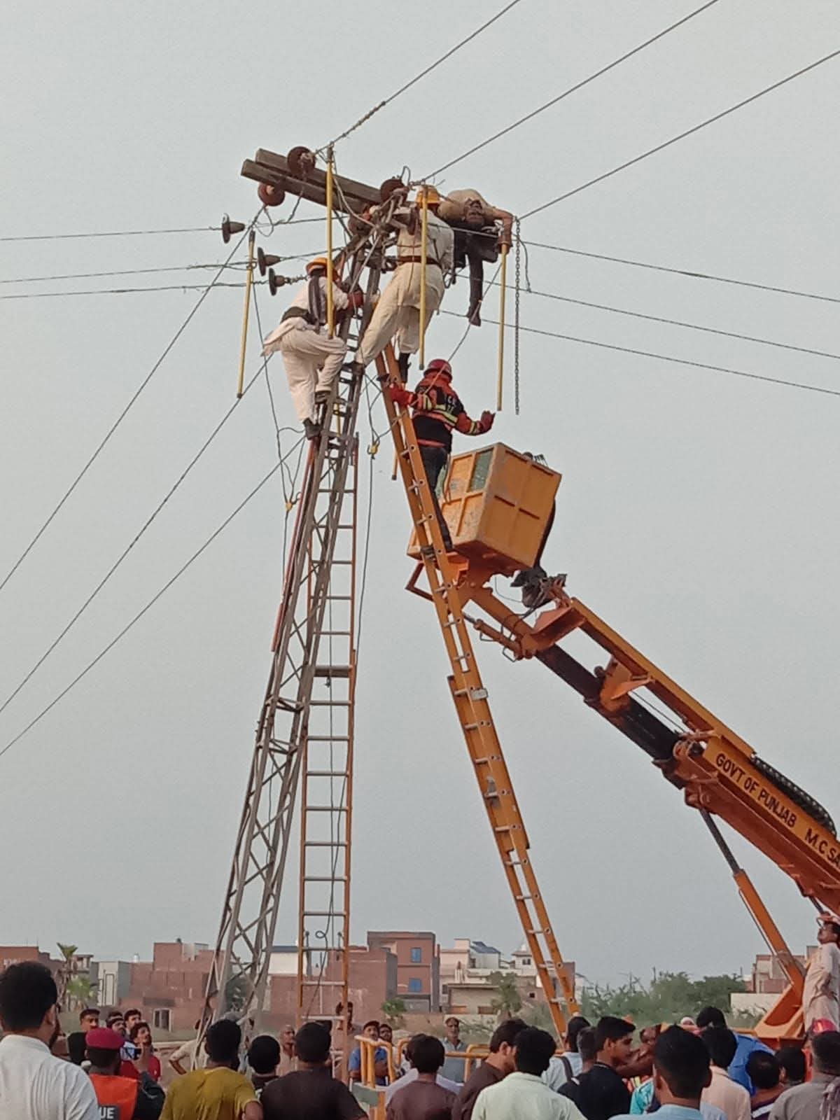سمندری (تحصیل رپورٹر) فیسکو حکام کی غفلت اور لاپرواہی کے باعث فیسکو لائن مین کرنٹ لگنے سے جان کی بازی ہار گیا