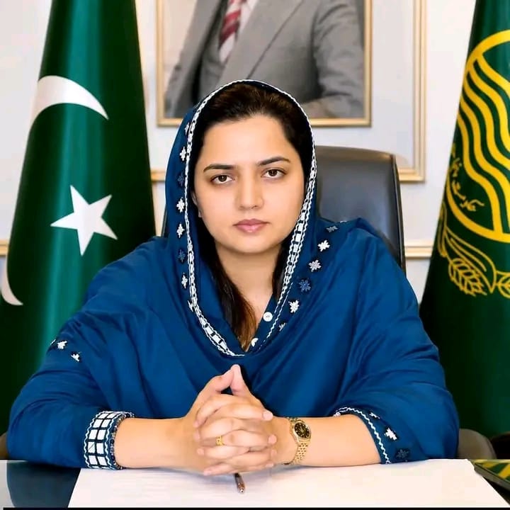 تحصیل پھالیہ کے گاؤں سیرے شریف سے تعلق رکھنے والی محترمہ حنا ارشد تارڑ صاحبہ کی ڈپٹی کمشنر خانیوال تعینات